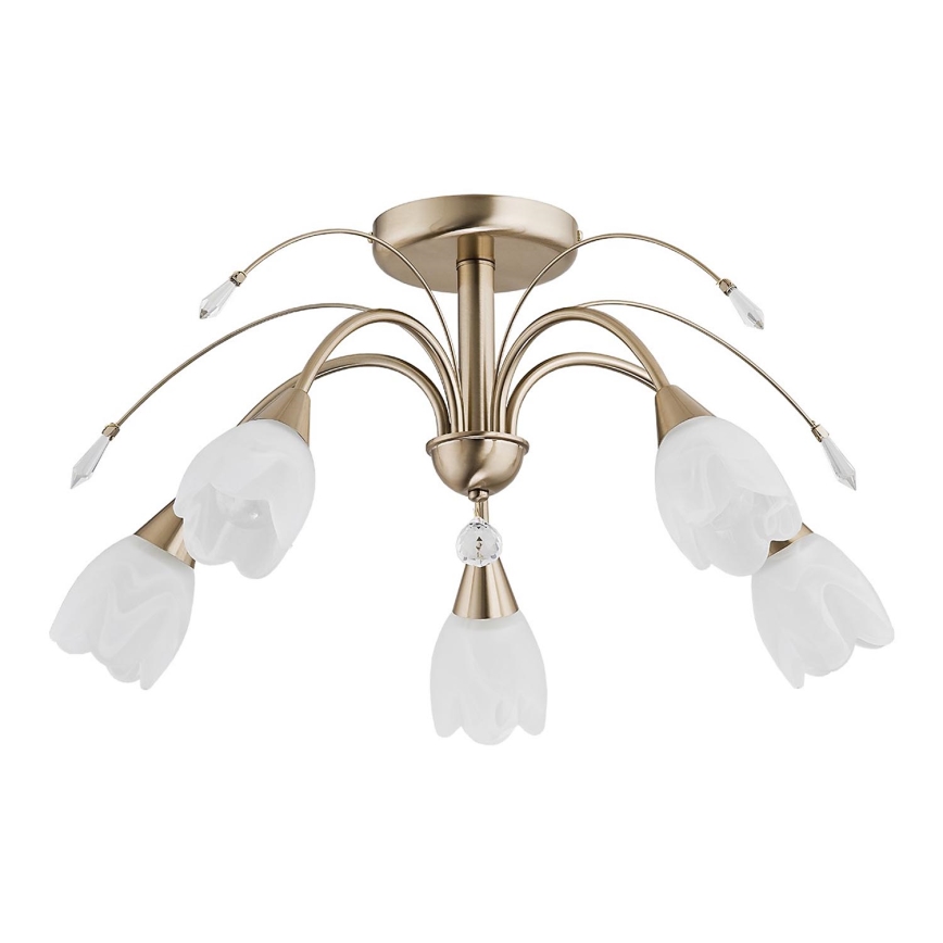 Потолочный светильник BASTER 5xE14/10W/230V золотой
