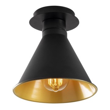 Потолочный светильник BERCESTE 1xE27/40W/230V