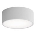 Потолочный светильник для ванной CLEO с датчиком, 1xE27/24W/230V, диаметр 20 см, IP54, серый