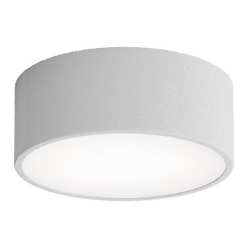 Потолочный светильник для ванной CLEO с датчиком, 1xE27/24W/230V, диаметр 20 см, IP54, серый