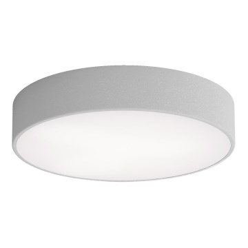 Потолочный светильник для ванной комнаты CLEO 3xE27/24W/230V d. 40 cm серая IP54