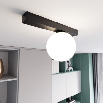 Потолочный светильник FIT 1xE14/10W/230V черный/белый