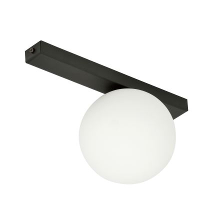 Потолочный светильник FIT 1xE14/10W/230V черный/белый