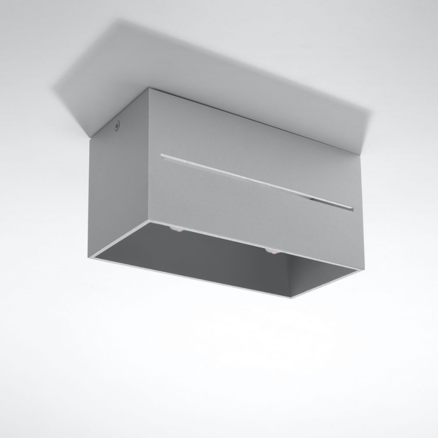 Потолочный светильник LOBO 2xGU10/40W/230V серый