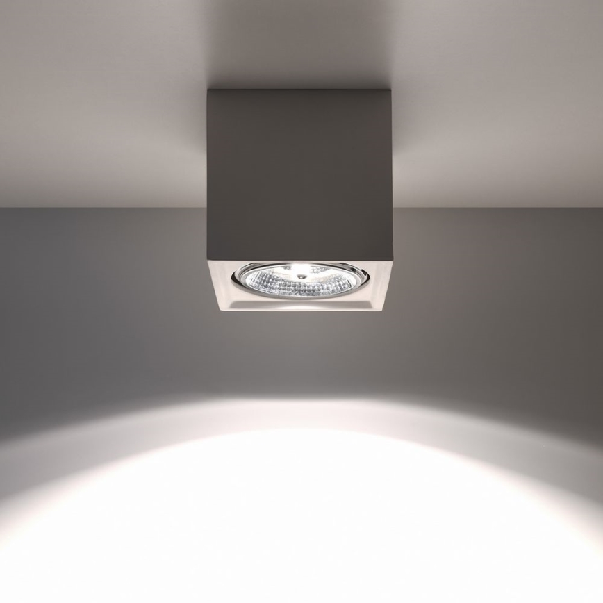 Потолочный светильник SEIDA 1xGU10/40W/230V