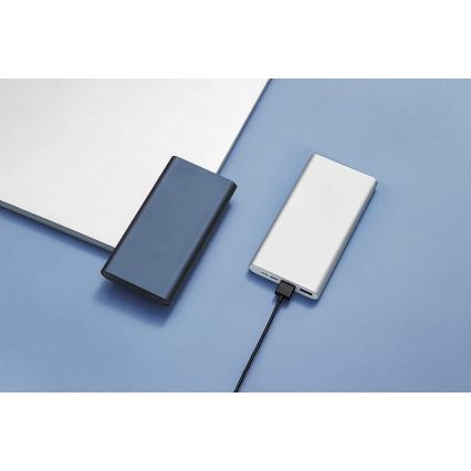 Повербанк зі швидкісною зарядкою Xiaomi Mi PowerBank 3 Fast Charge 10000mAh срібний