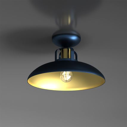 Поверхностно-монтируемая люстра FELIX 1xE27/60W/230V синяя