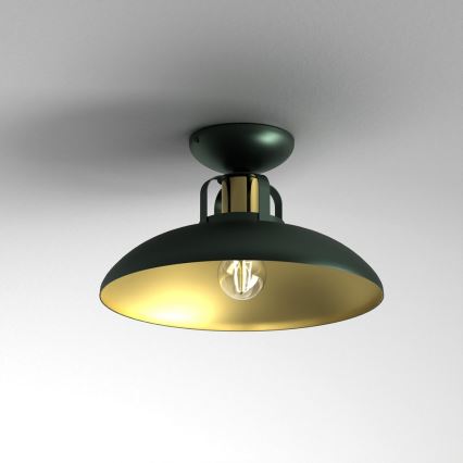 Поверхностно-монтируемая люстра FELIX 1xE27/60W/230V зеленая