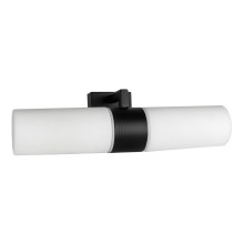 Prezent 12075 - Настенный светильник для ванной комнаты ANITA PLUS 2xE14/40W/230V IP44