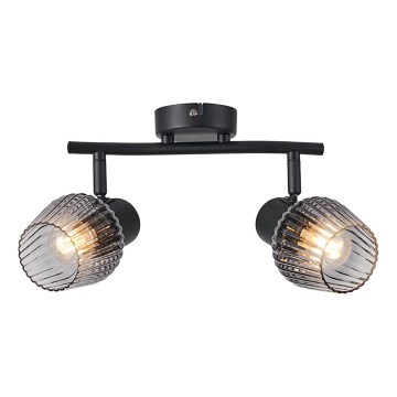 Prezent 14101 - Точковий світильник OASIS 2xE27/60W/230V чорний/димчастий