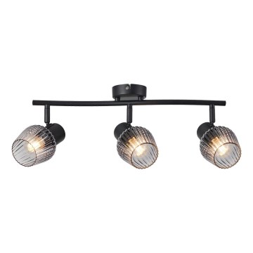 Prezent 14102 - Точечный светильник OASIS 3xE27/60W/230V черный/дымчатый