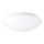 Prezent 1501 - Потолочный светильник ASPEN 2xE27/60W/230V IP44