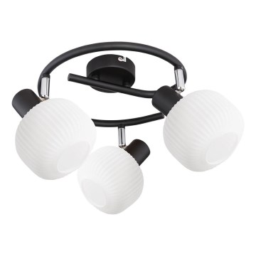 Prezent 27521 - Точечный светильник ARYA 3xE14/40W/230V черный/белый