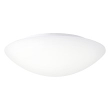 Prezent 45140 - Светодиодный потолочный светильник для ванной комнаты ASPEN LED/24W/230V IP44