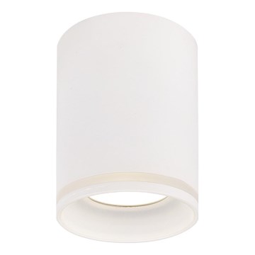 Prezent 71112 - Точковий світильник SAUL 1xGU10/50W/230V, діам. 7 см, білий