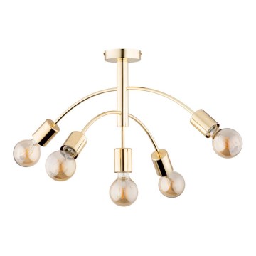 Припотолочная люстра ARINI 5xE27/60W/230V