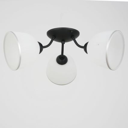 Припотолочная люстра AVIA 3xE27/15W/230V