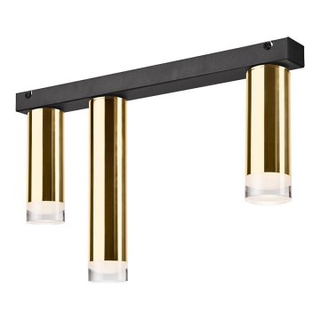 Припотолочная люстра DIEGO 3xE27/60W/230V