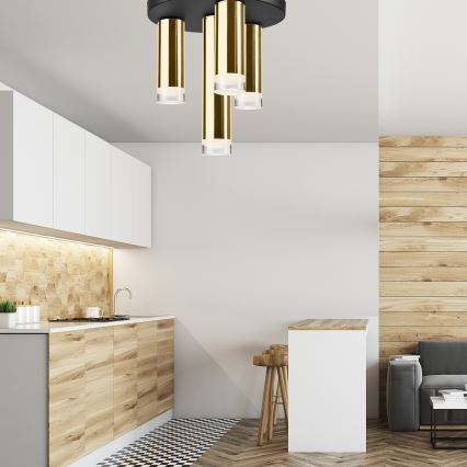 Припотолочная люстра DIEGO 4xE27/60W/230V