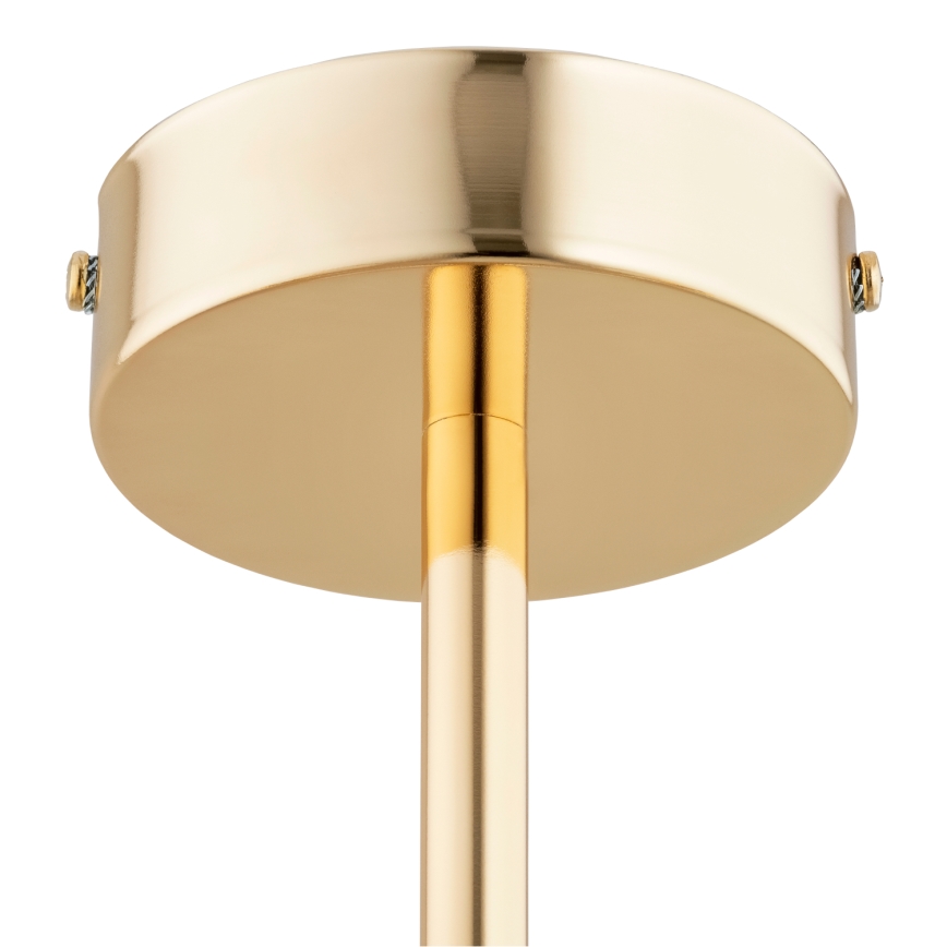 Припотолочная люстра ERAL 3xE14/40W/230V