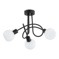 Припотолочная люстра ERYKA 3xE14/10W/230V черный