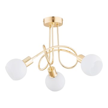 Припотолочная люстра ERYKA 3xE14/10W/230V золотистый