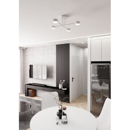 Припотолочная люстра HALO 4xGX53/10W/230V белый