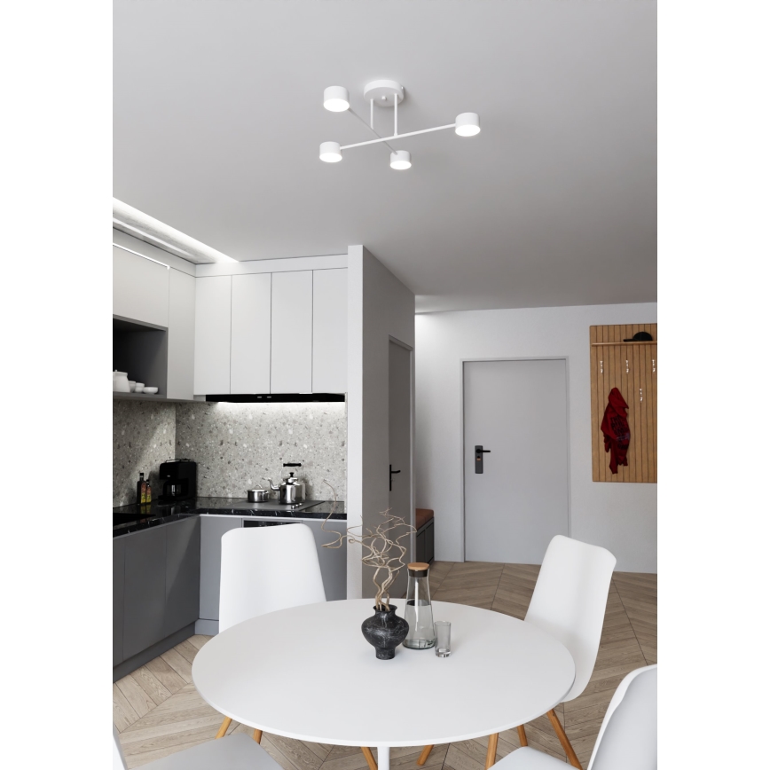 Припотолочная люстра HALO 4xGX53/10W/230V белый