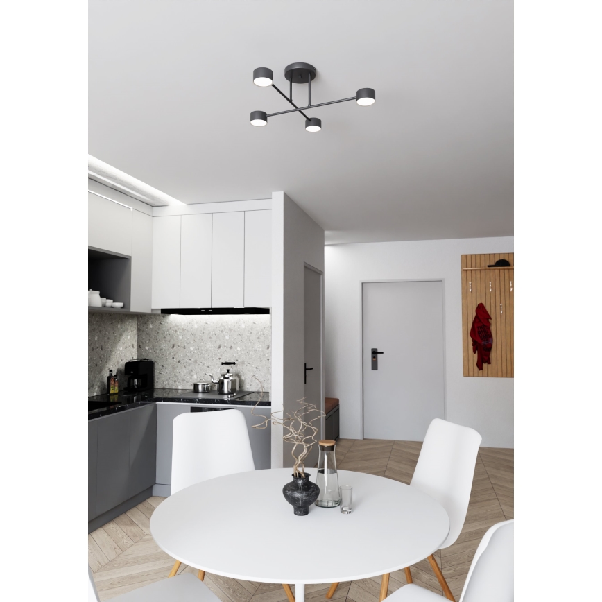 Припотолочная люстра HALO 4xGX53/10W/230V черный