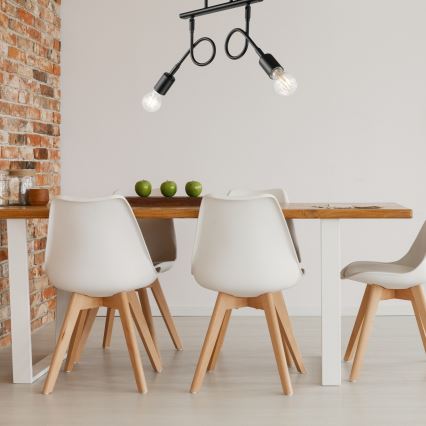 Припотолочная люстра HARRY 2xE27/60W/230V