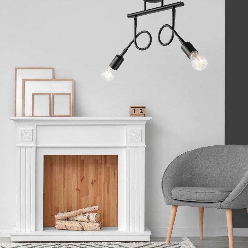 Припотолочная люстра HARRY 2xE27/60W/230V