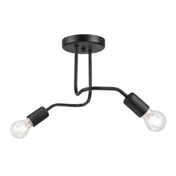Припотолочная люстра CHARLIE 2xE27/60W/230V