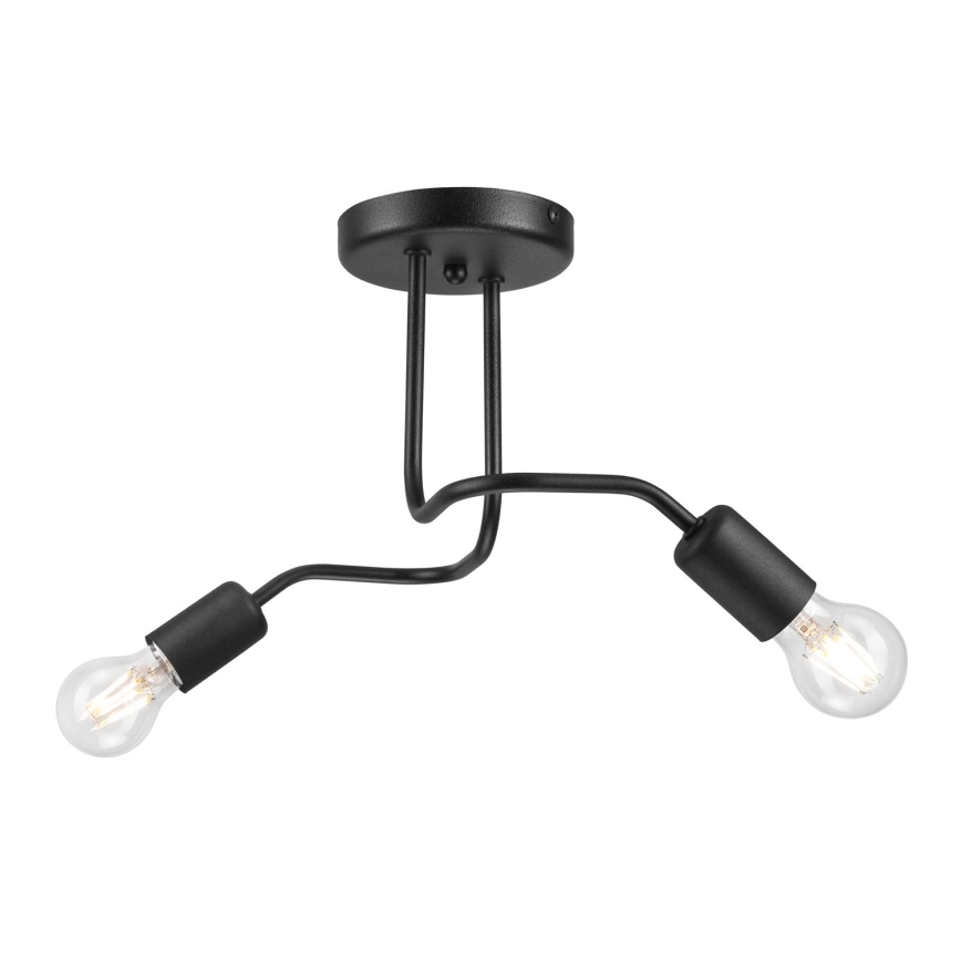 Припотолочная люстра CHARLIE 2xE27/60W/230V