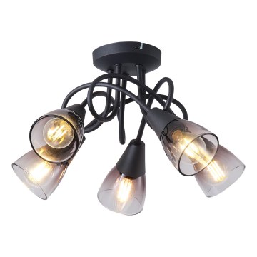 Припотолочная люстра CLASSY 5xE14/7W/230V