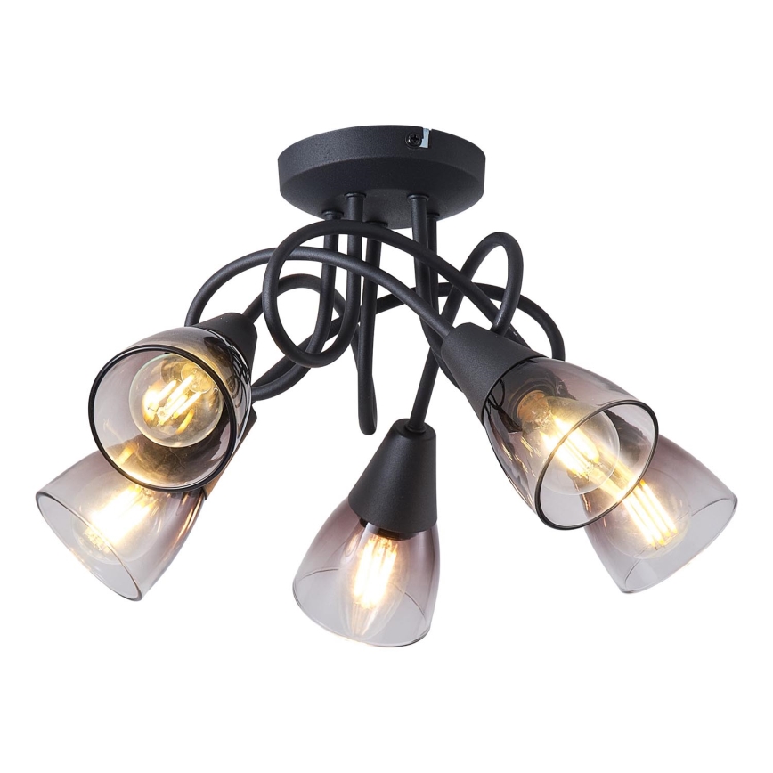 Припотолочная люстра CLASSY 5xE14/7W/230V