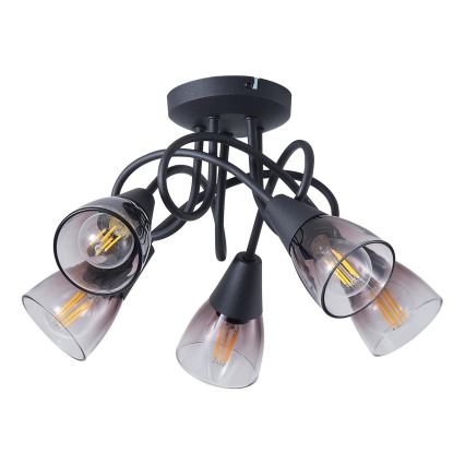 Припотолочная люстра CLASSY 5xE14/7W/230V