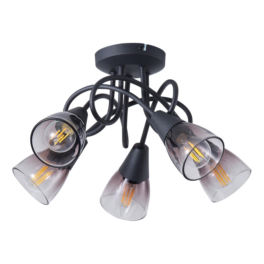 Припотолочная люстра CLASSY 5xE14/7W/230V