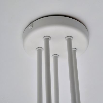 Припотолочная люстра MATYLDA 5xE27/60W/230V белый