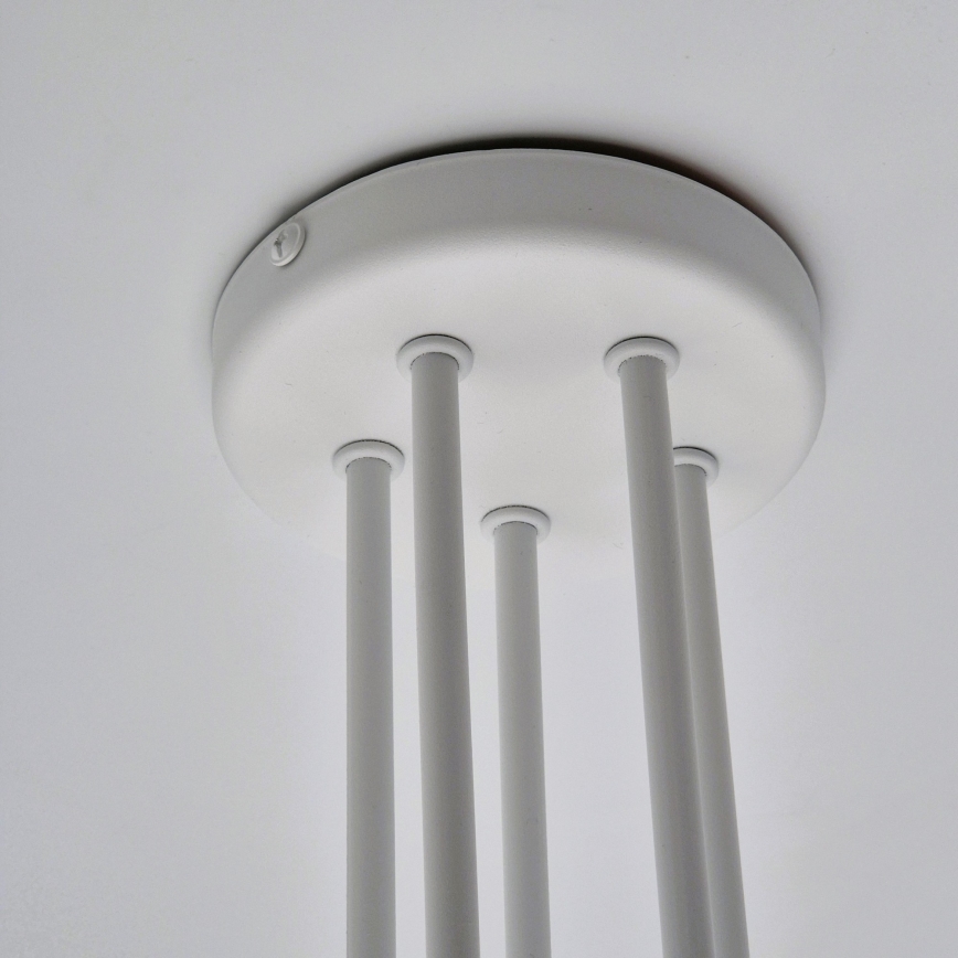Припотолочная люстра MATYLDA 5xE27/60W/230V белый