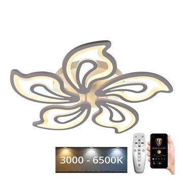 Пристельова LED люстра з регулюванням яскравості LED/125W/230V 3000-6500K + дистанційне керування