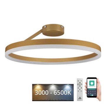 Пристельова LED люстра з регулюванням яскравості LED/40W/230V 3000-6500K золотий + пульт дистанційного керування