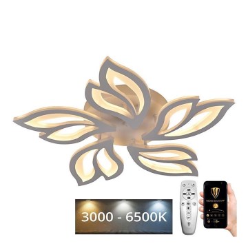 Пристельова LED люстра з регулюванням яскравості LED/65W/230V 3000-6500K + дистанційне керування