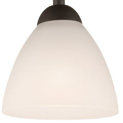 Пристельова люстра ADRIANO 1xE27/60W/230V бук