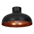 Пристельова люстра BASCA 1xE27/60W/230V