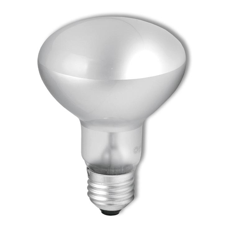 Промислова прожекторна лампочка R63 E27/40W/230V 2700K