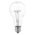 Промышленная лампочка A70 E27/200W/230V 2700K