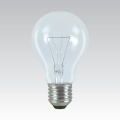 Промышленная специальная лампочка E27/100W/24V