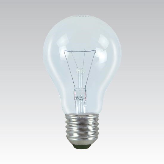 Промышленная специальная лампочка E27/100W/24V