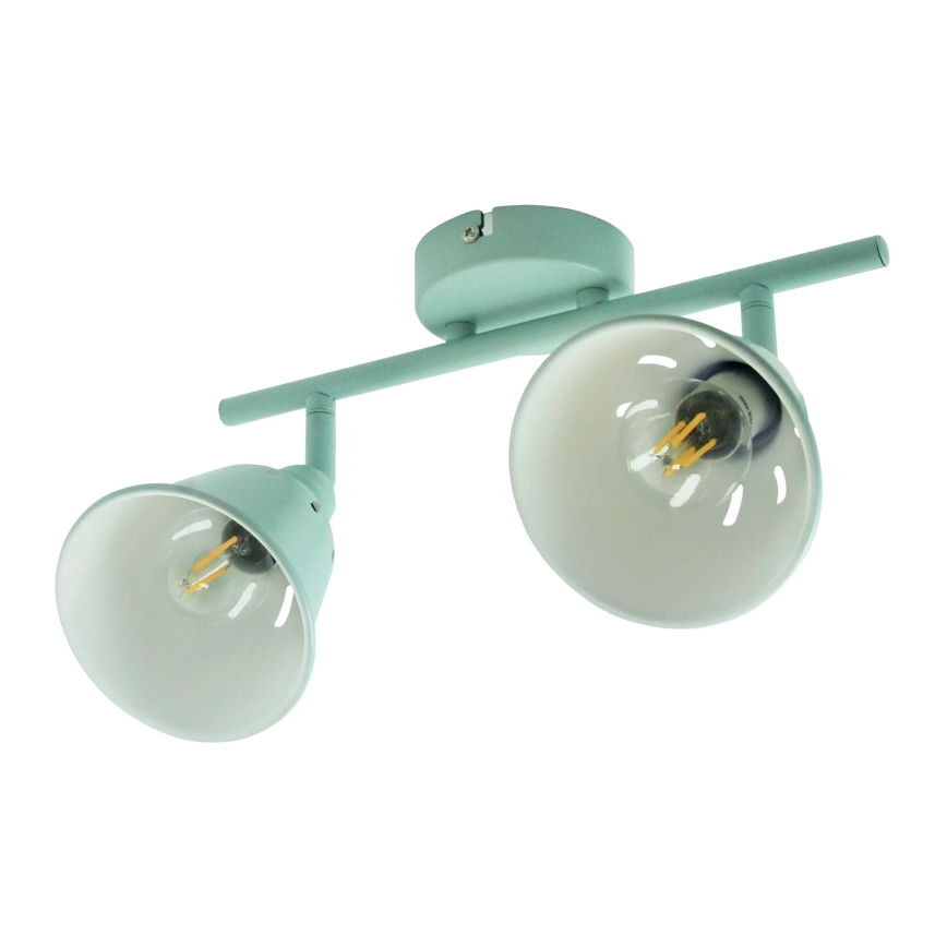 Прожектор FIONA 2xE14/8W/230V зеленый