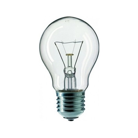 Промислова лампочка CLEAR E27/100W/240V